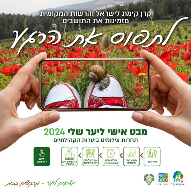 לתפוס את הרגע 