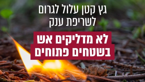 WhatsApp Image 2026-04-15 at 13.33.20.jpeg